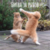 1752078082097.png