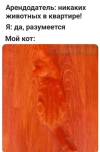 1752078152329.png