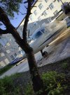 IMG_20250713_061752_363.jpg