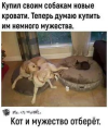1752404930796.png