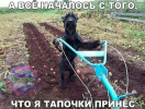 1752405041869.png