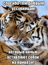 1752499631787.png