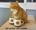 1752564942405.png