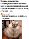 1753028701931.png