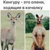 1753366327433.png