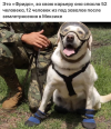 1753424508130.png