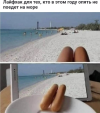 1753461551381.png
