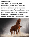 1753601955130.png