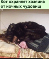 1753645549774.png
