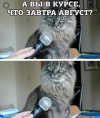 1753974510555.png