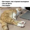 1754232743735.png