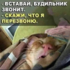 1754572400790.png