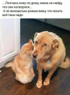 1754979420472.png