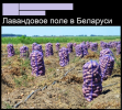 1755533108202.png
