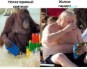 1755693870316.png