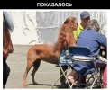 1755966822175.png