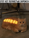 1755966845142.png