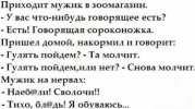 1756055713142.jpeg