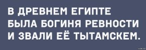 f1fbecfa1b24c4fb00a8e0fee4a6a114.jpg