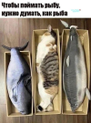 1757596334174.png