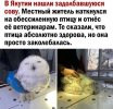 1757683065074.png