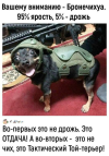 1757744232709.png