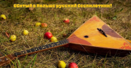 1757745186189.png