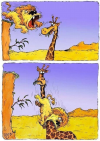 1757776996402.png