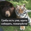 IMG_20250918_174703_749.jpg
