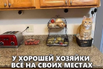 1758371446150.png