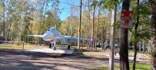 IMG_20250916_110628_650.jpg