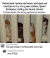 1759299497720.png