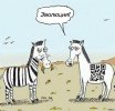 1f8c58f1ab1dafee5fa9d25f525f8907.jpg