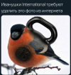 1760784105663.png
