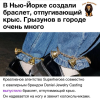 1761204984633.png