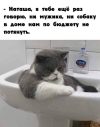 1761324415690.png