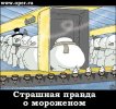 Страшная правда о мороженом.jpg