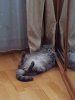 20170401_143512.jpg
