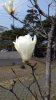 20170328_145419.jpg