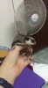 upload_2017-6-6_13-53-35.png