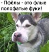 IMG_20260424_050231_949.jpg