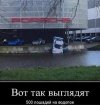 500 лошадей.jpg
