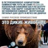 IMG_20260424_201726_515.jpg