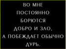 15.png