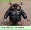 IMG_20260430_141745_971.jpg