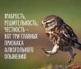 1670868335.jpg.56ffaeaef22490060d0fbff23934055e[1].jpg