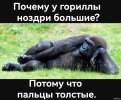 b145ffcd95e9c46b603942d7e2401e41.jpg