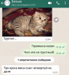1785347245452.png