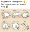 1785413765870.png