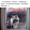 1785869662493.png 1785869662493.png